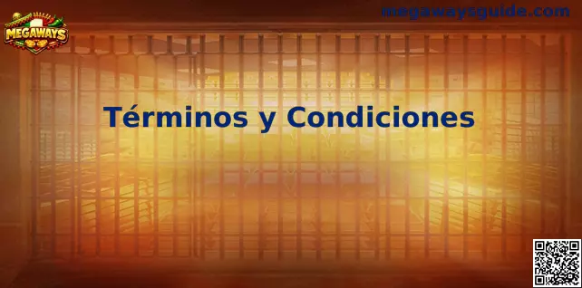 Imagen de Megaways Términos y Condiciones